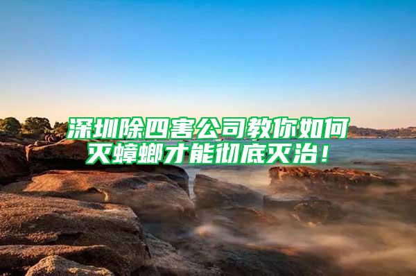 深圳除四害公司教你如何滅蟑螂才能徹底滅治！