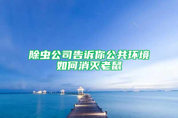 除蟲公司告訴你公共環(huán)境如何消滅老鼠