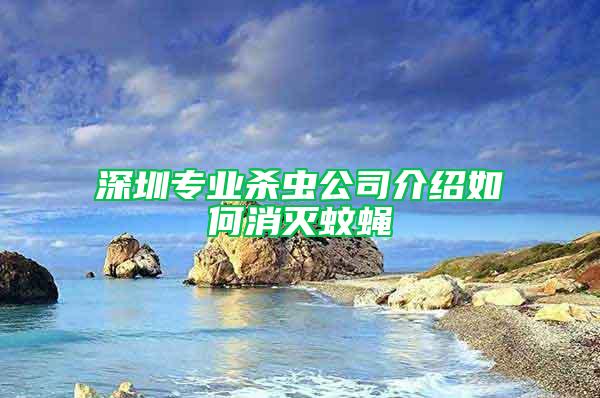 深圳專業(yè)殺蟲公司介紹如何消滅蚊蠅