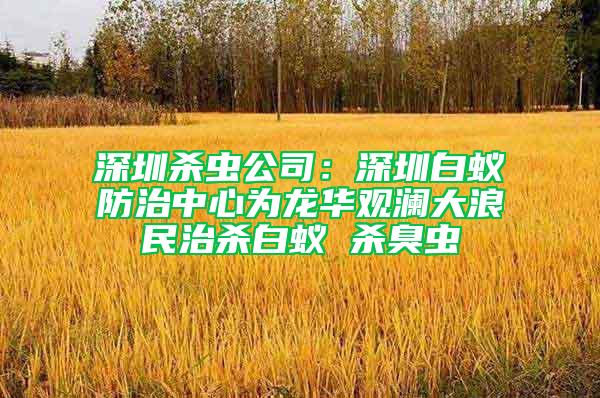 深圳殺蟲公司：深圳白蟻防治中心為龍華觀瀾大浪民治殺白蟻 殺臭蟲