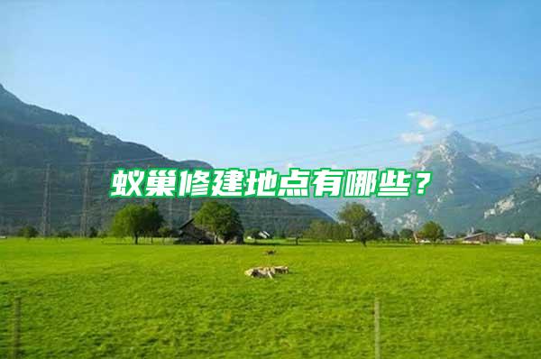 蟻巢修建地點(diǎn)有哪些？