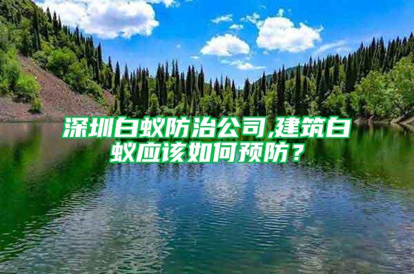 深圳白蟻防治公司,建筑白蟻應(yīng)該如何預(yù)防？