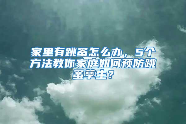 家里有跳蚤怎么辦，5個方法教你家庭如何預防跳蚤孳生？