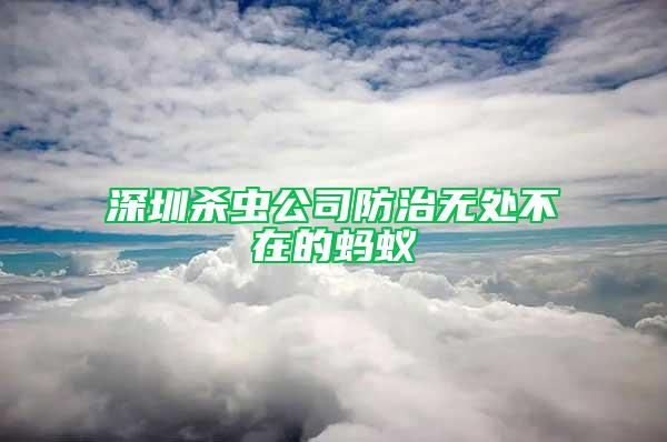 深圳殺蟲公司防治無處不在的螞蟻