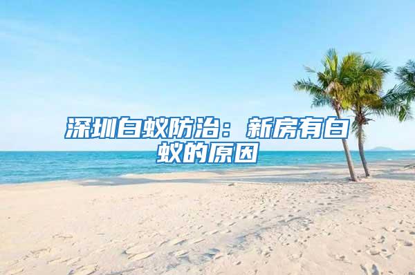 深圳白蟻防治：新房有白蟻的原因