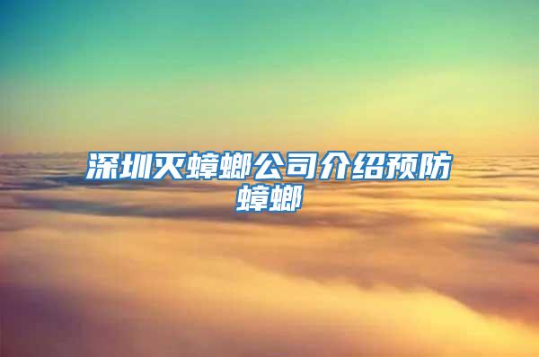 深圳滅蟑螂公司介紹預(yù)防蟑螂