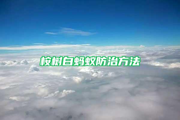 桉樹白螞蟻防治方法