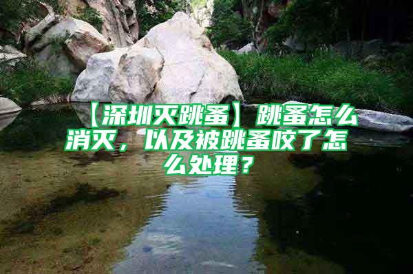 【深圳滅跳蚤】跳蚤怎么消滅，以及被跳蚤咬了怎么處理？