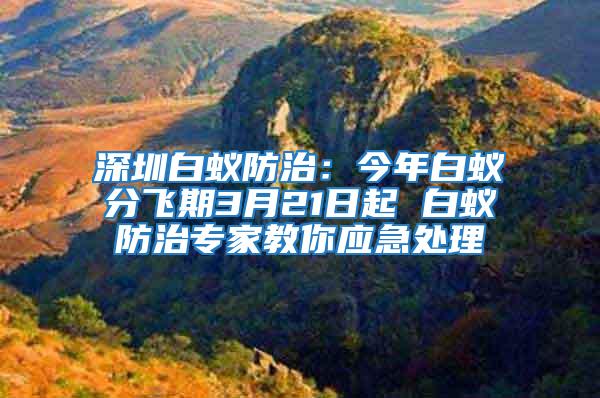 深圳白蟻防治：今年白蟻分飛期3月21日起 白蟻防治專家教你應(yīng)急處理