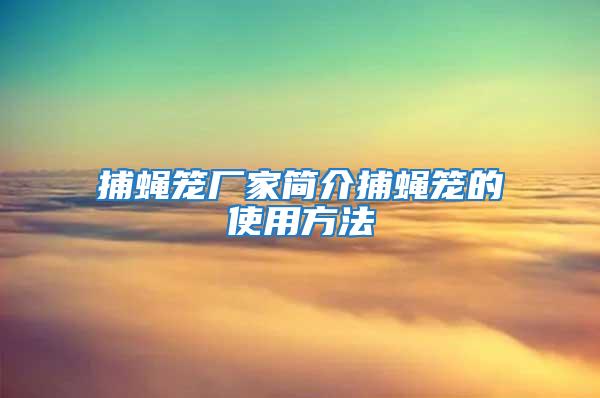 捕蠅籠廠家簡介捕蠅籠的使用方法