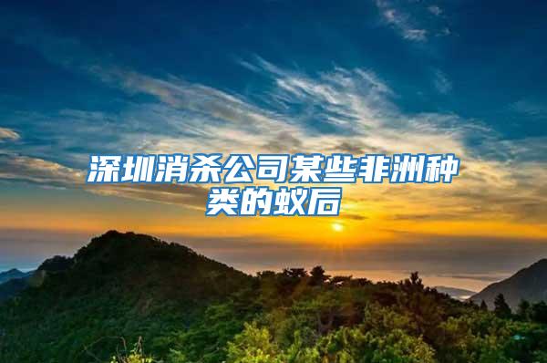 深圳消殺公司某些非洲種類的蟻后