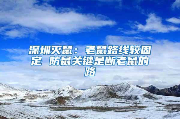 深圳滅鼠：老鼠路線較固定 防鼠關(guān)鍵是斷老鼠的路