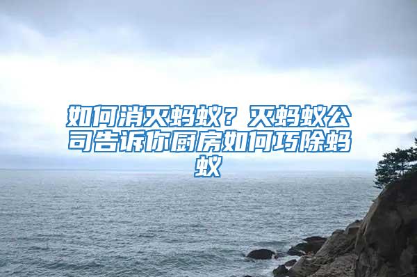 如何消滅螞蟻？滅螞蟻公司告訴你廚房如何巧除螞蟻