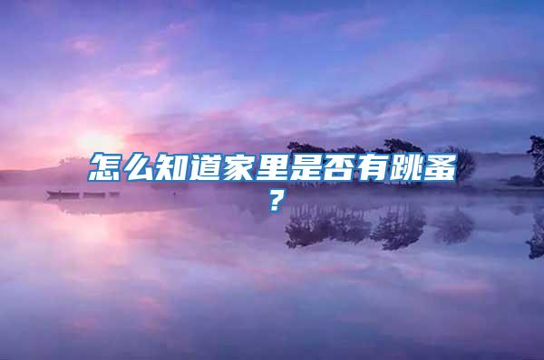 怎么知道家里是否有跳蚤？