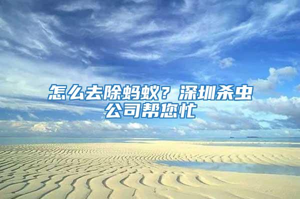 怎么去除螞蟻？深圳殺蟲(chóng)公司幫您忙