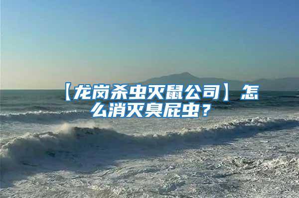 【龍崗殺蟲滅鼠公司】怎么消滅臭屁蟲？