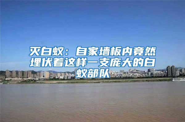 滅白蟻：自家墻板內(nèi)竟然埋伏著這樣一支龐大的白蟻部隊