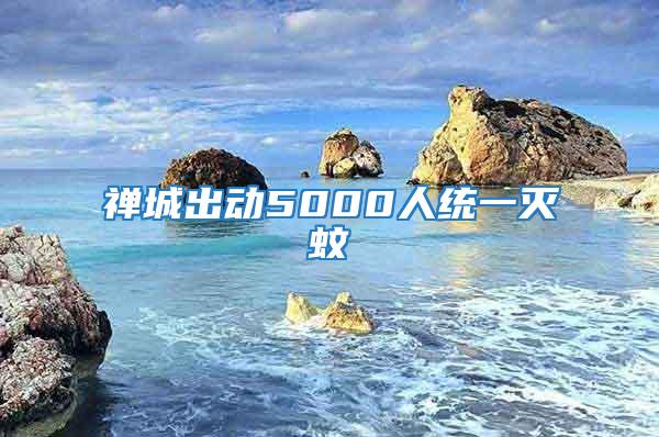 禪城出動(dòng)5000人統(tǒng)一滅蚊