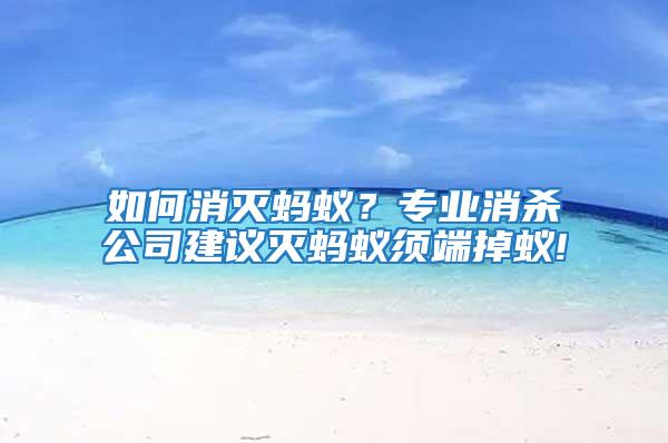 如何消滅螞蟻？專業(yè)消殺公司建議滅螞蟻須端掉蟻!