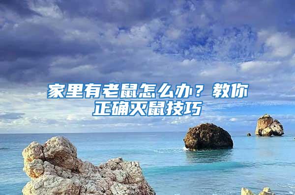 家里有老鼠怎么辦？教你正確滅鼠技巧