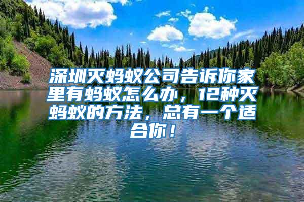 深圳滅螞蟻公司告訴你家里有螞蟻怎么辦，12種滅螞蟻的方法，總有一個(gè)適合你！