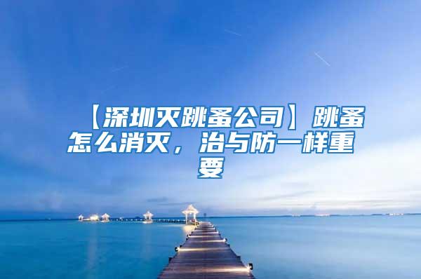 【深圳滅跳蚤公司】跳蚤怎么消滅，治與防一樣重要