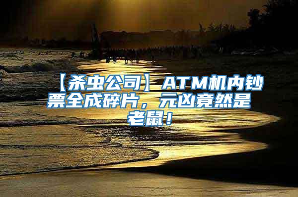 【殺蟲公司】ATM機(jī)內(nèi)鈔票全成碎片，元兇竟然是老鼠！