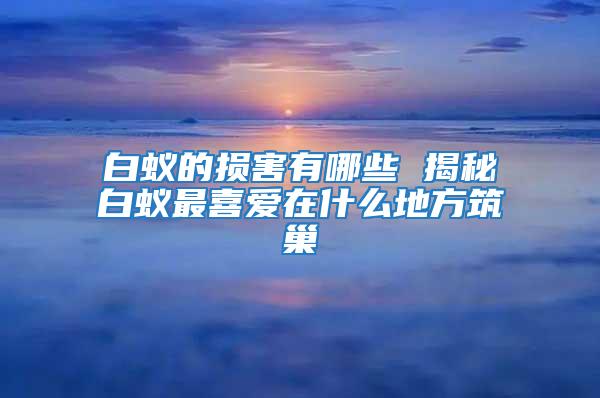 白蟻的損害有哪些 揭秘白蟻?zhàn)钕矏墼谑裁吹胤街?/></p>
             <p style=