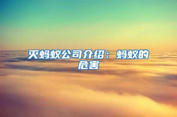 滅螞蟻公司介紹：螞蟻的危害