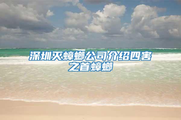 深圳滅蟑螂公司介紹四害之首蟑螂