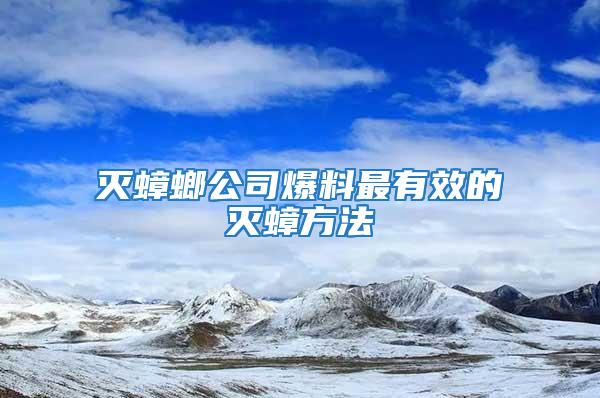 滅蟑螂公司爆料最有效的滅蟑方法