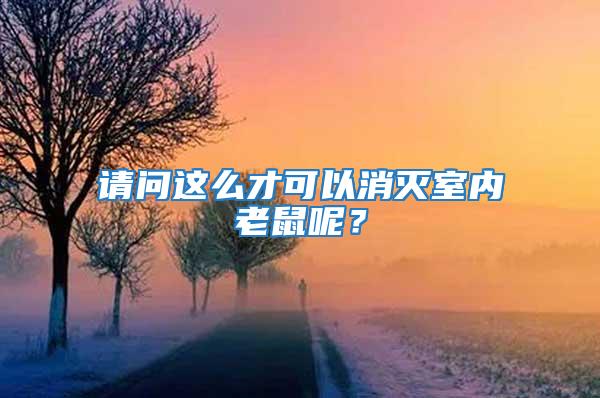 請問這么才可以消滅室內(nèi)老鼠呢？