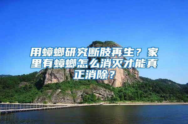 用蟑螂研究斷肢再生？家里有蟑螂怎么消滅才能真正消除？