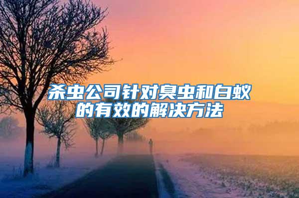 殺蟲公司針對(duì)臭蟲和白蟻的有效的解決方法