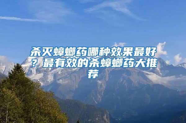 殺滅蟑螂藥哪種效果最好？最有效的殺蟑螂藥大推薦