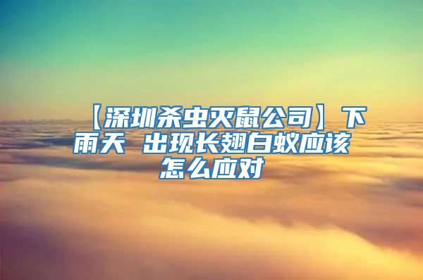 【深圳殺蟲(chóng)滅鼠公司】下雨天 出現(xiàn)長(zhǎng)翅白蟻應(yīng)該怎么應(yīng)對(duì)