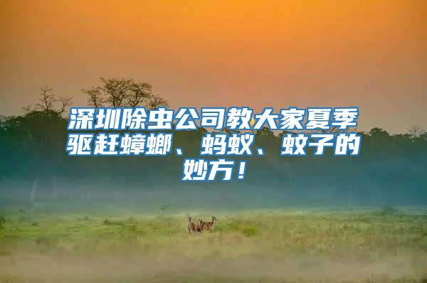 深圳除蟲公司教大家夏季驅(qū)趕蟑螂、螞蟻、蚊子的妙方！