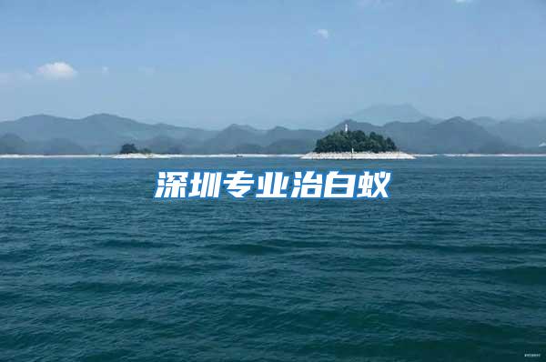 深圳專業(yè)治白蟻