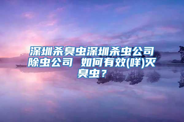 深圳殺臭蟲深圳殺蟲公司除蟲公司 如何有效(咩)滅臭蟲？