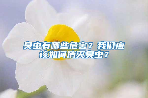 臭蟲有哪些危害？我們應(yīng)該如何消滅臭蟲？