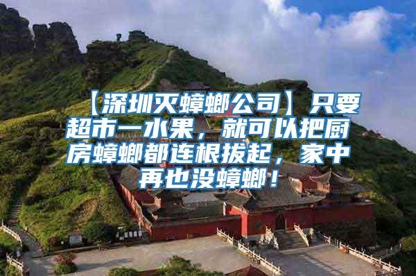 【深圳滅蟑螂公司】只要超市一水果，就可以把廚房蟑螂都連根拔起，家中再也沒蟑螂！