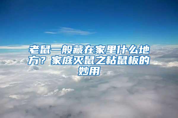 老鼠一般藏在家里什么地方？家庭滅鼠之粘鼠板的妙用