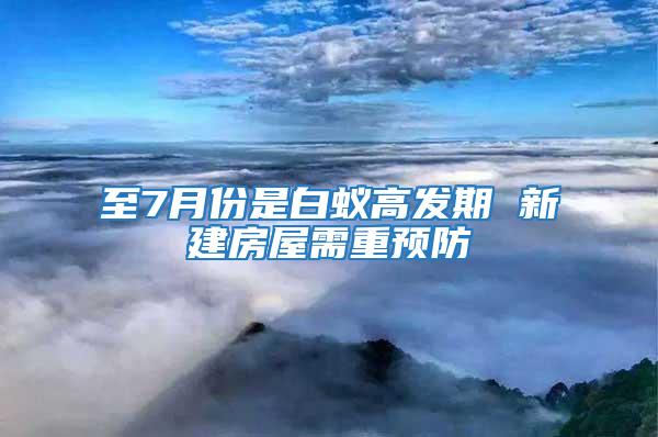 至7月份是白蟻高發(fā)期 新建房屋需重預(yù)防