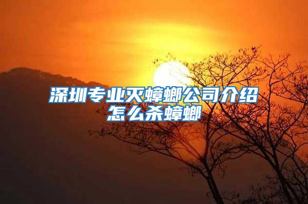 深圳專業(yè)滅蟑螂公司介紹怎么殺蟑螂