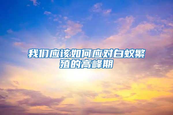 我們應(yīng)該如何應(yīng)對白蟻繁殖的高峰期