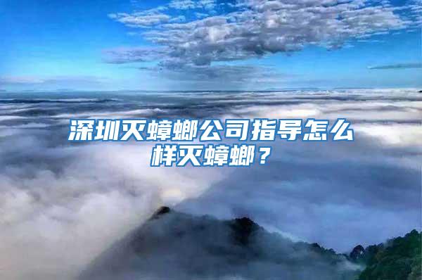 深圳滅蟑螂公司指導(dǎo)怎么樣滅蟑螂？