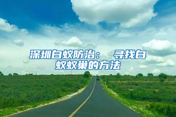 深圳白蟻防治： 尋找白蟻蟻巢的方法