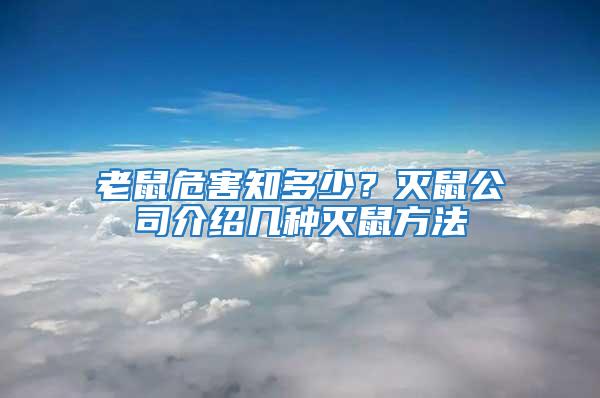 老鼠危害知多少？滅鼠公司介紹幾種滅鼠方法