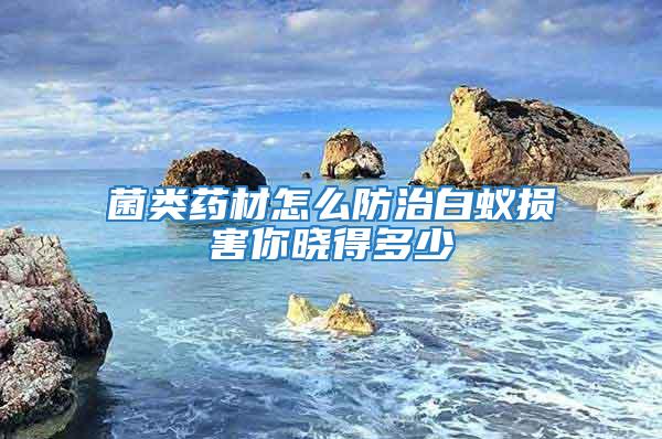 菌類藥材怎么防治白蟻損害你曉得多少