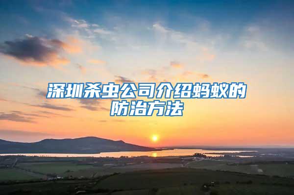 深圳殺蟲公司介紹螞蟻的防治方法